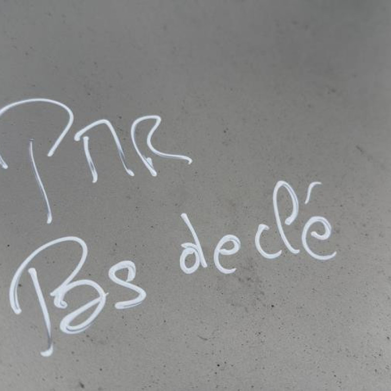 Custode avant gauche (porte) TOYOTA YARIS 2 Photo n°19