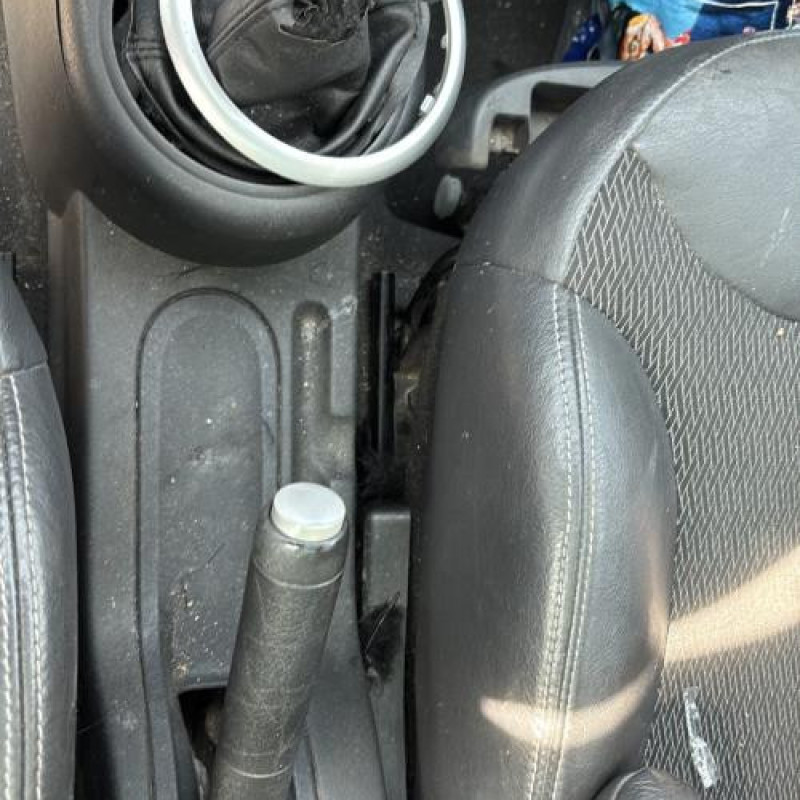 Extension d'aile arriere gauche CITROEN C3 1 X-TR Photo n°20