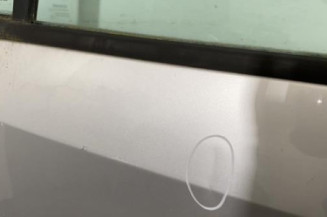 Porte avant gauche RENAULT GRAND MODUS