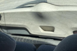 Amortisseur avant gauche CITROEN C3 1