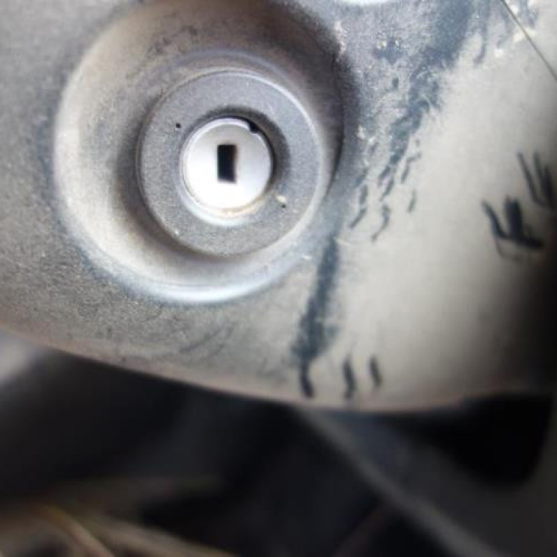 Calandre SKODA FABIA 3 Photo n°10