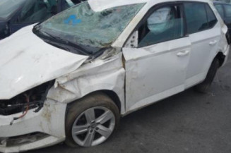 Calandre SKODA FABIA 3