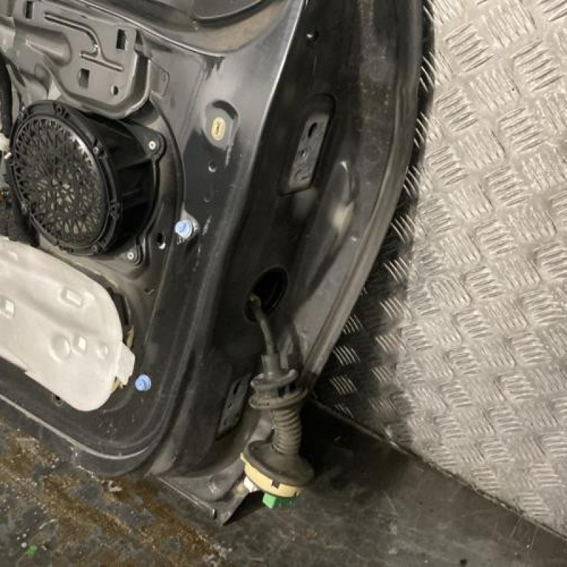 Porte avant gauche PEUGEOT 207 Photo n°3
