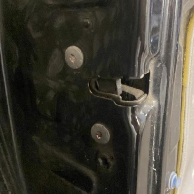 Porte avant gauche PEUGEOT 207 Photo n°6