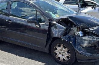 Porte avant gauche PEUGEOT 207