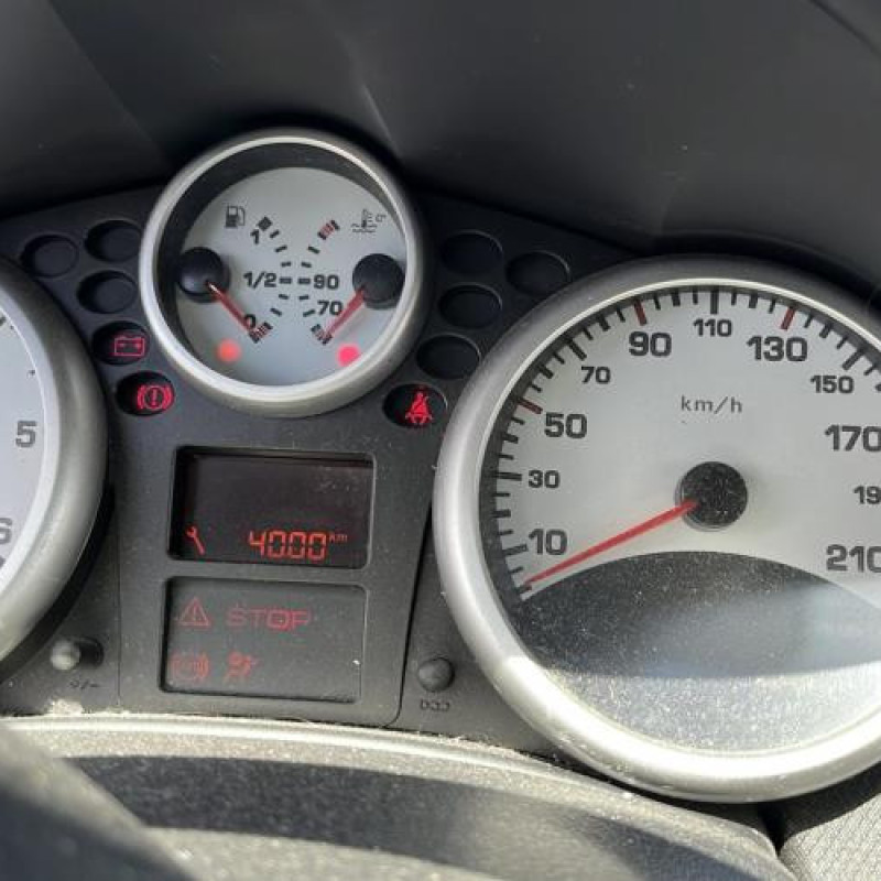 Porte avant gauche PEUGEOT 207 Photo n°15