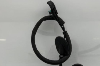 Serrure arriere gauche RENAULT ARKANA
