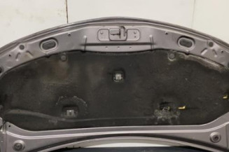 Capot RENAULT CLIO 3 Photo n°1