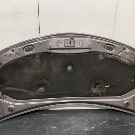 Capot RENAULT CLIO 3 Photo n°1