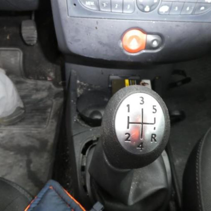 Capot RENAULT CLIO 3 Photo n°13