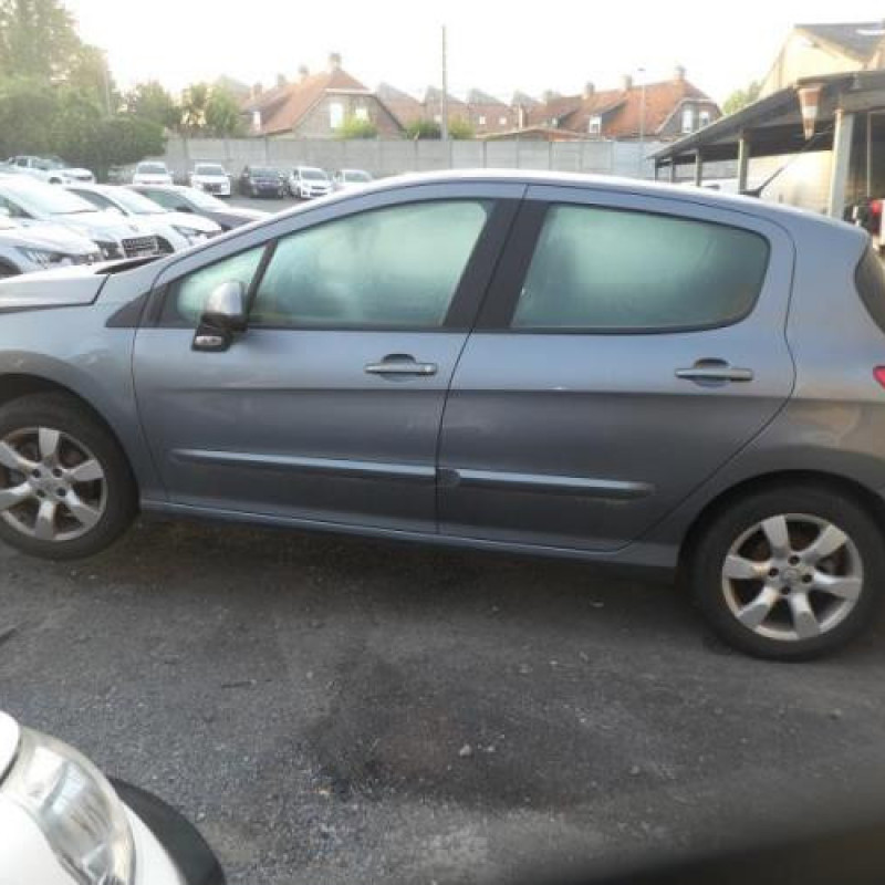 Porte avant gauche PEUGEOT 308 1 Photo n°7