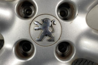 Jante PEUGEOT 307