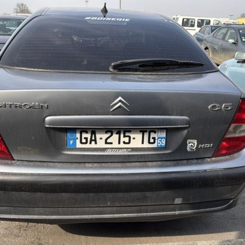Amortisseur avant gauche CITROEN C5 1 Photo n°17