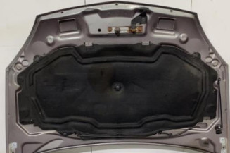 Capot RENAULT CLIO 2