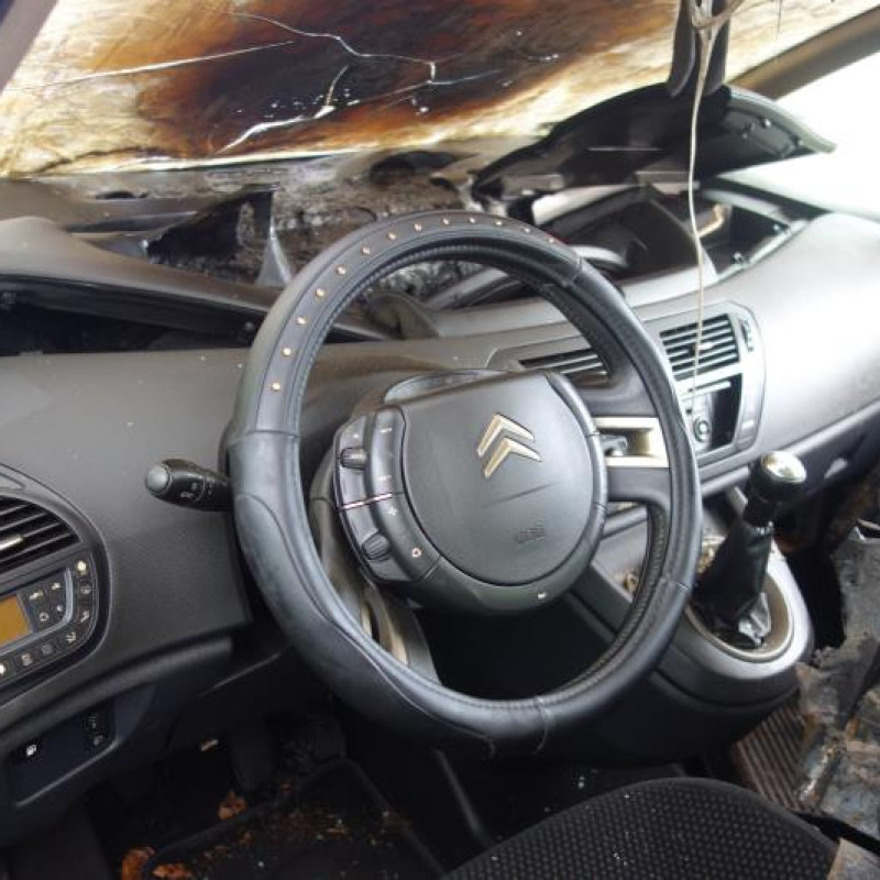Porte arriere droit CITROEN C4 PICASSO 1 Photo n°8