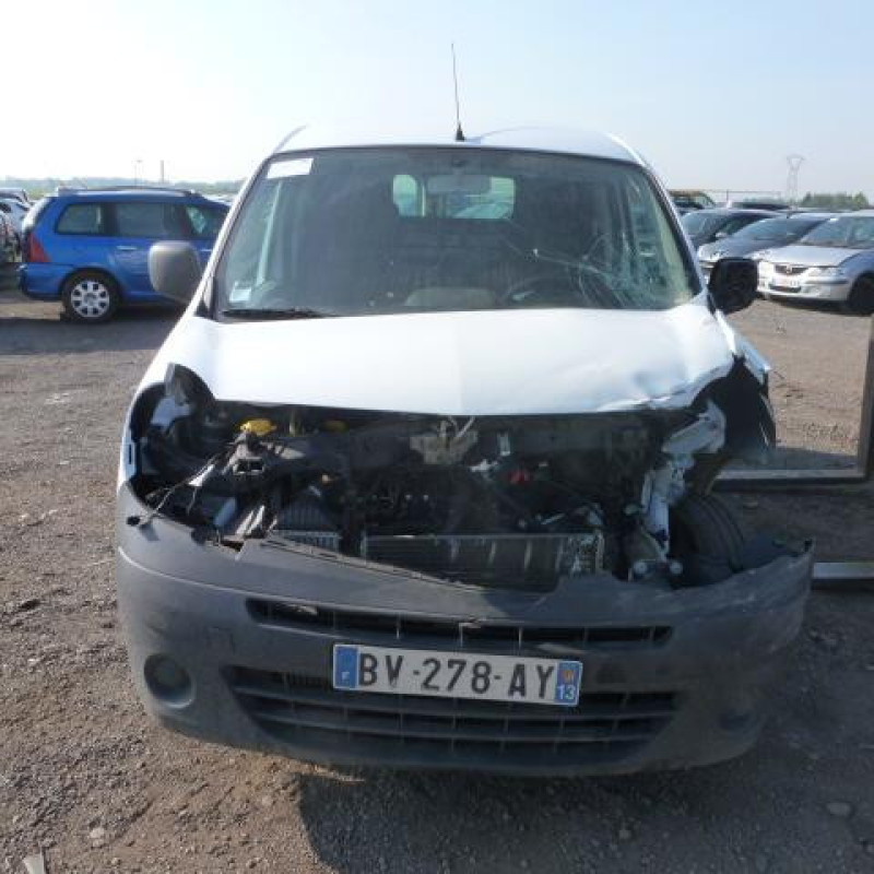 Porte de coffre droit RENAULT KANGOO 2 Photo n°4