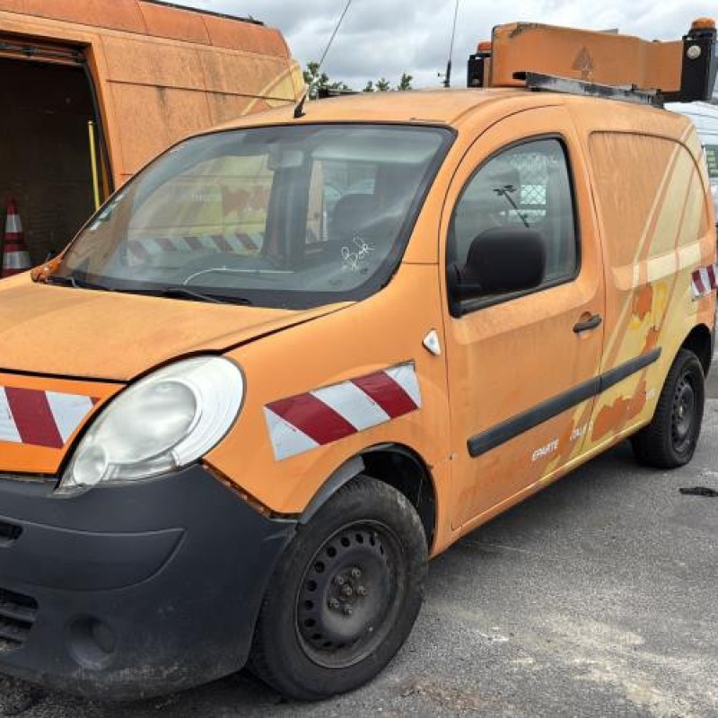 Porte de coffre gauche RENAULT KANGOO 2 Photo n°9