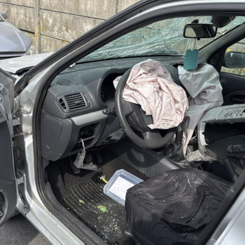 Poignee interieur arriere gauche RENAULT CLIO 2 CAMPUS Photo n°9