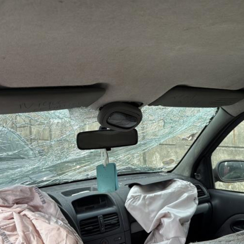 Poignee interieur arriere gauche RENAULT CLIO 2 CAMPUS Photo n°13