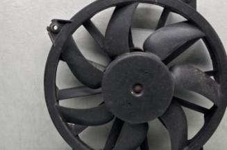 Moto ventilateur radiateur PEUGEOT 308 1 Photo n°1