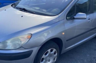 Neiman PEUGEOT 307