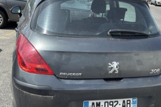 Cremaillere assistee PEUGEOT 308 1