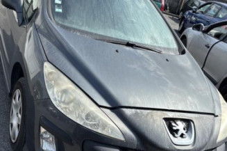 Cremaillere assistee PEUGEOT 308 1