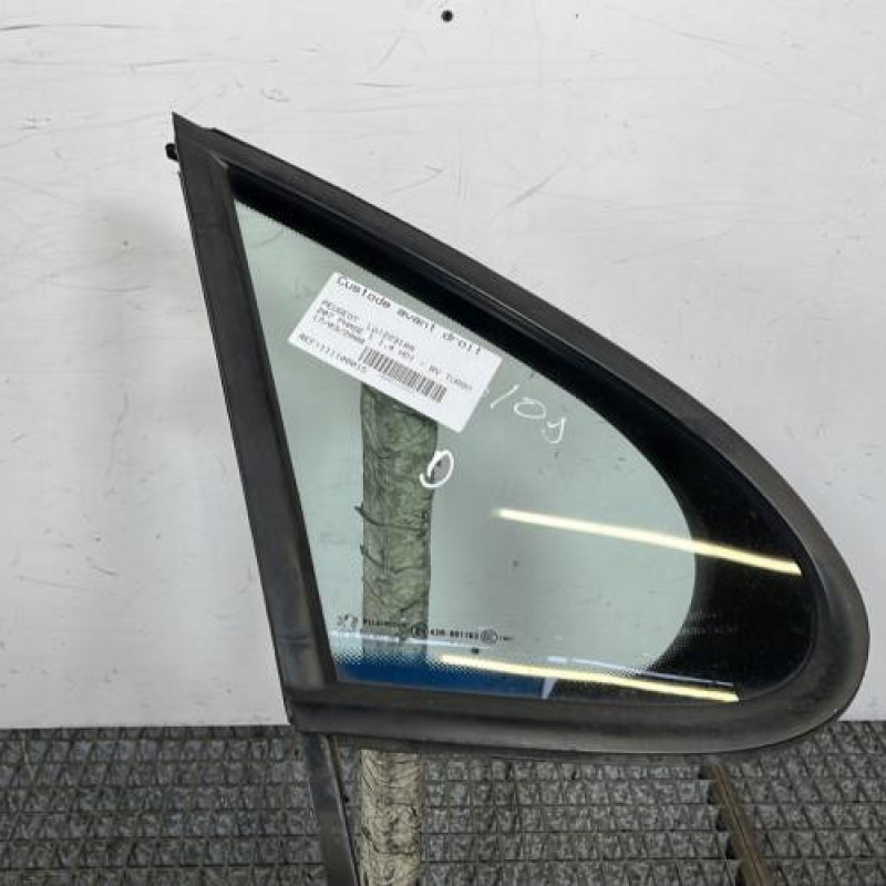 Custode avant droit (porte) PEUGEOT 207 Photo n°1