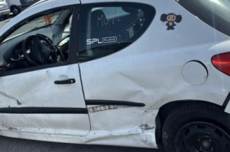 Custode avant droit (porte) PEUGEOT 207