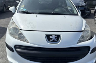 Custode avant droit (porte) PEUGEOT 207