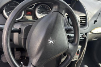 Custode avant droit (porte) PEUGEOT 207