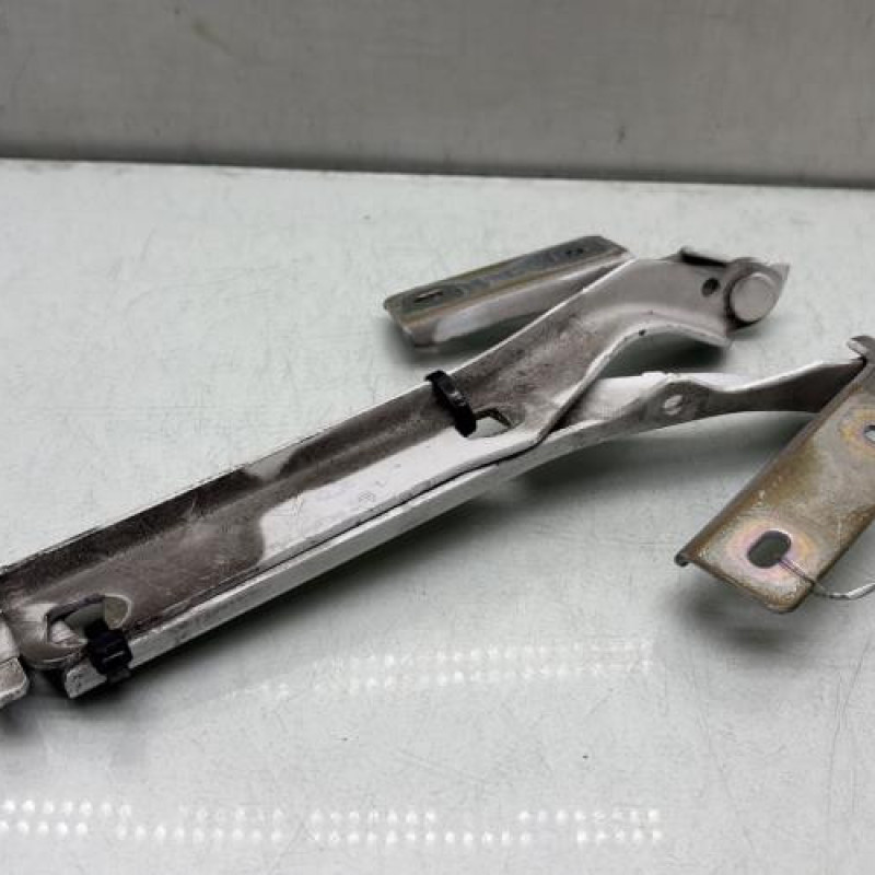 Charniere de capot PEUGEOT PARTNER 2 Photo n°1