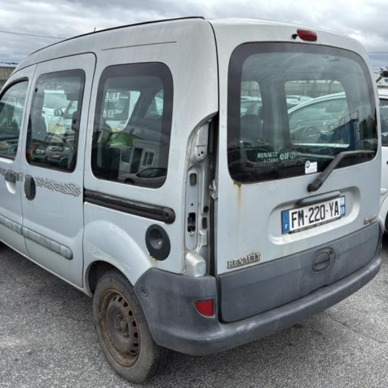 Poignee hayon RENAULT KANGOO 1 Photo n°9