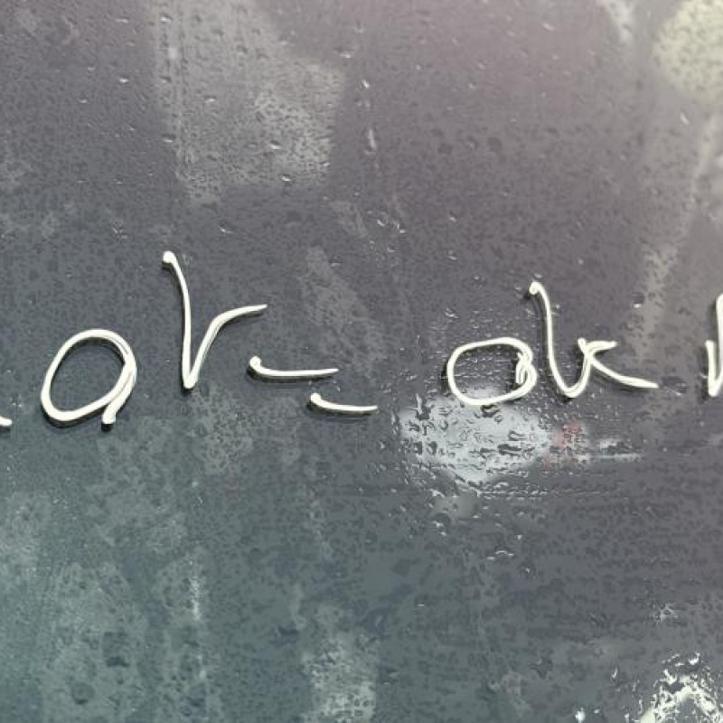 Feu arriere secondaire droit (feux) CITROEN C4 PICASSO 1 Photo n°20