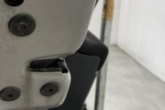 Porte arriere gauche RENAULT MEGANE 2 Photo n°1