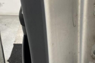 Porte arriere gauche RENAULT MEGANE 2