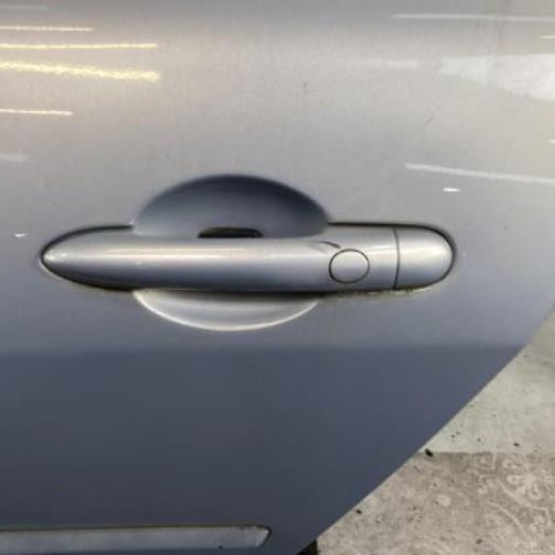 Porte arriere gauche RENAULT MEGANE 2 Photo n°4