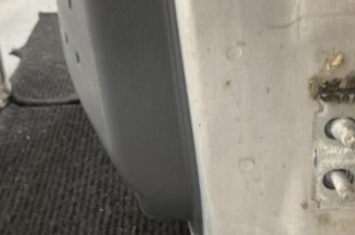 Porte arriere gauche RENAULT MEGANE 2