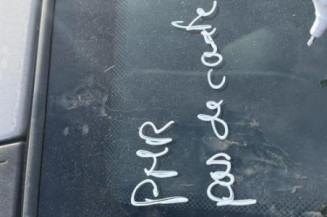 Porte arriere gauche RENAULT MEGANE 2