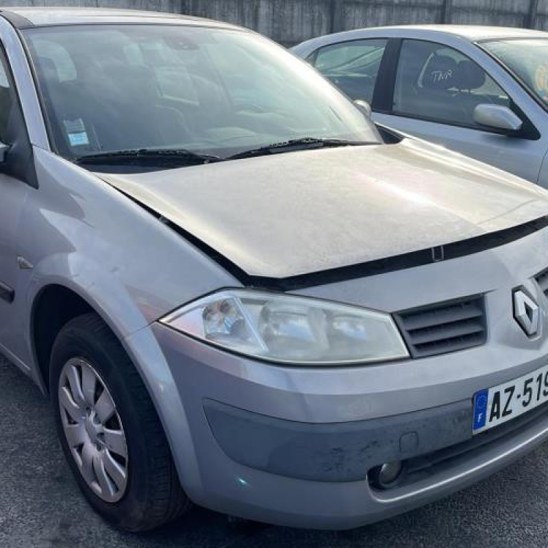 Porte arriere gauche RENAULT MEGANE 2 Photo n°9