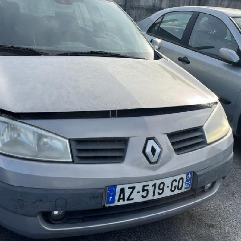 Porte arriere gauche RENAULT MEGANE 2 Photo n°13