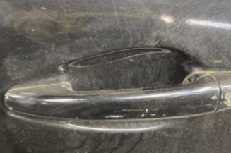 Porte avant gauche PEUGEOT 208 1
