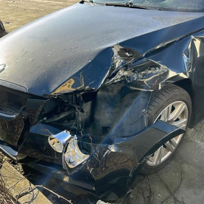 Porte arriere gauche BMW SERIE 3 E90 Photo n°11