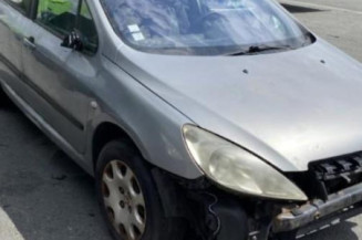 Aile avant gauche PEUGEOT 307