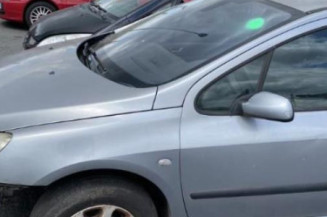 Aile avant gauche PEUGEOT 307