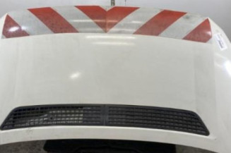 Capot VOLKSWAGEN CRAFTER 1