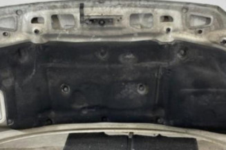 Capot VOLKSWAGEN CRAFTER 1