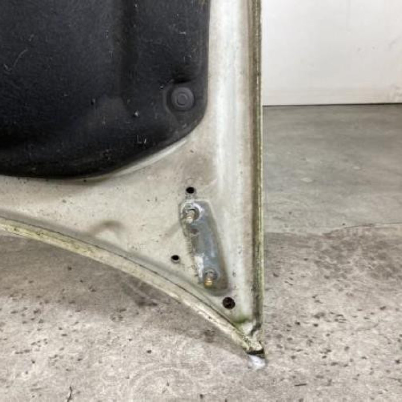 Capot VOLKSWAGEN CRAFTER 1 Photo n°11