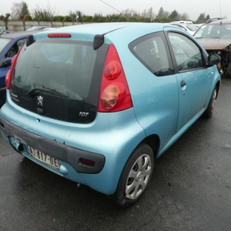 Capot PEUGEOT 107 Photo n°6