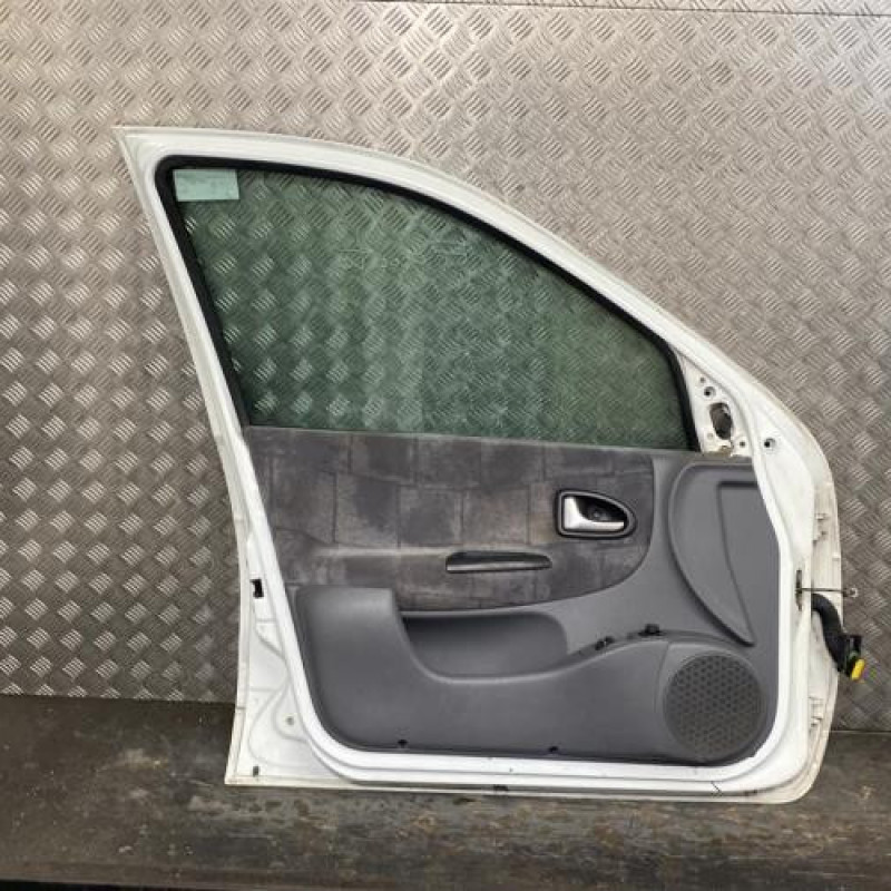 Porte avant gauche RENAULT MEGANE 1 Photo n°5